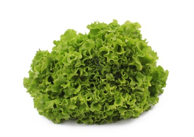 Салат айсберг 300 г - купить в Седъяре